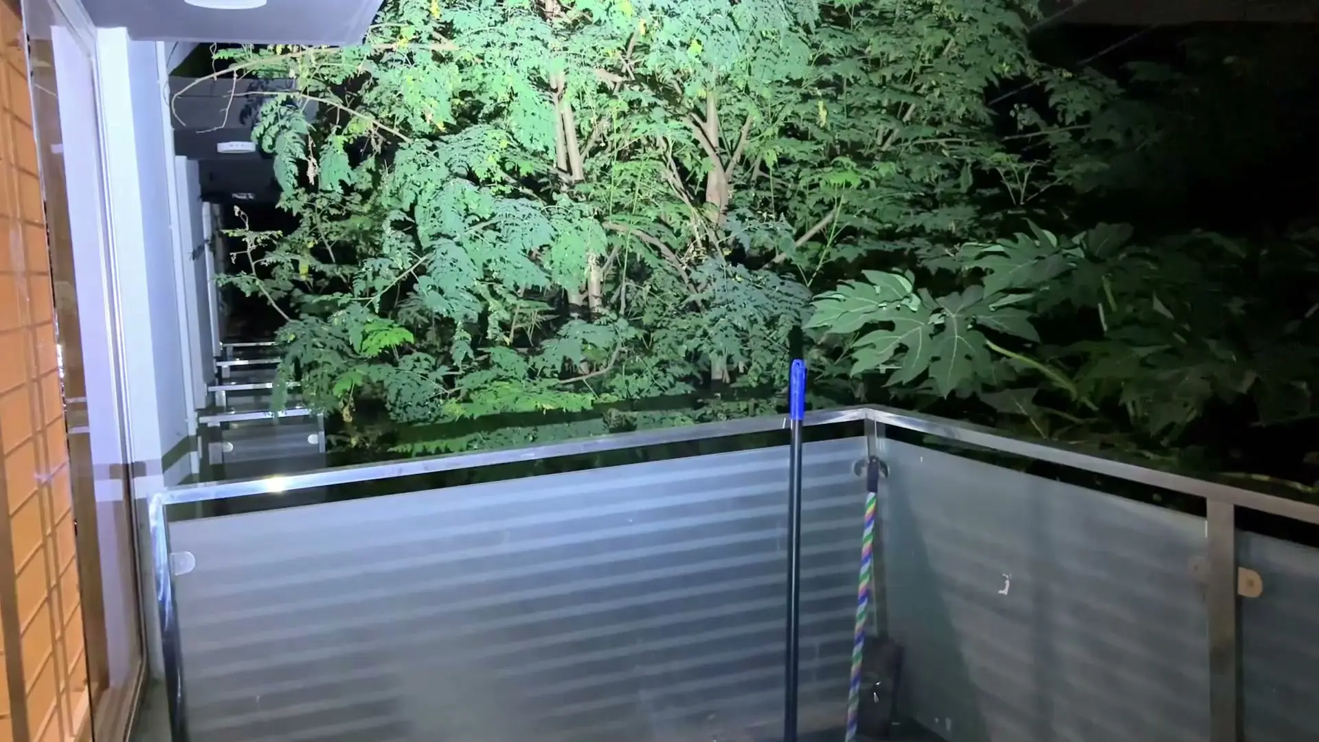 Trees beyond a balcony railing lit up at night by the TUOWEE QL3's main beam